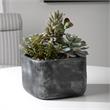 Uttermost Alverio Contemporary Plastic Iron Cement Succulents in Black/Green