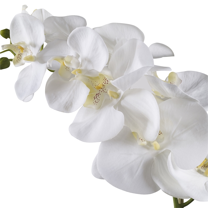 Uttermost Cami Coastal Polyester Ceramic and Bamboo Orchid in White