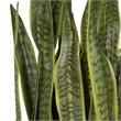 Uttermost Fasita Contemporary Metal Planter in Black/Antique Brass