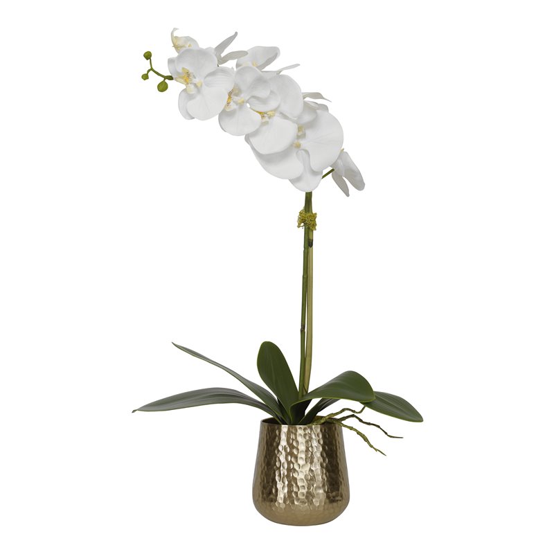 Uttermost Cami Metal Orchid with Brass Pot and Reindeer Moss in White/Brass