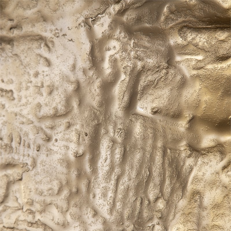 Uttermost Archive Organic Shape Contemporary Aluminum Wall Decor in Brass