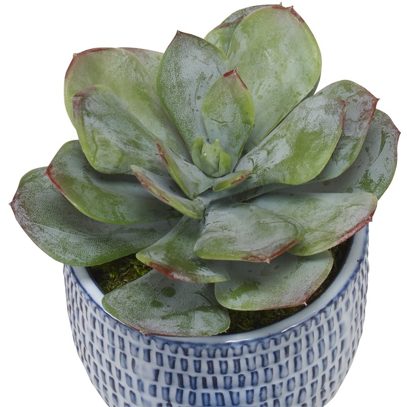 Uttermost Puebla Coastal Plastic and Ceramic Pots in Blue/White (Set of 3)