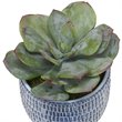 Uttermost Puebla Coastal Plastic and Ceramic Pots in Blue/White (Set of 3)