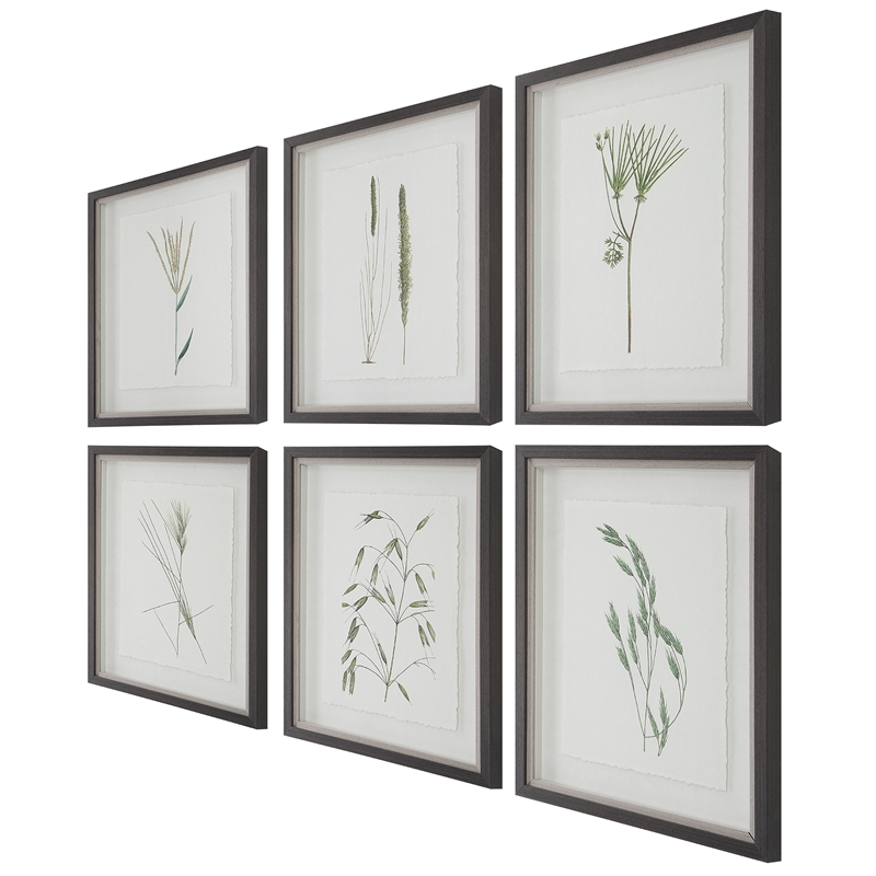 Uttermost Forest Finds Plastic and Paper Framed Prints in Brown/Green (Set of 6)