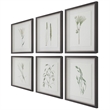 Uttermost Forest Finds Plastic and Paper Framed Prints in Brown/Green (Set of 6)