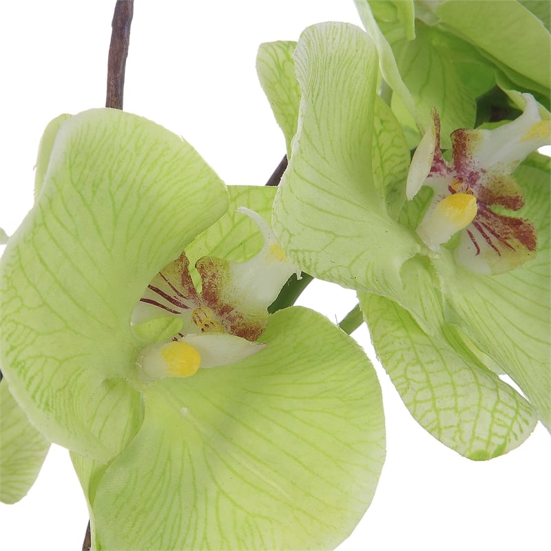Uttermost Valdive Contemporary Polyester Polyfoam and Plastic Orchid in Green