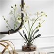 Uttermost Glory Contemporary Polyester Plastic and Iron Orchid in White