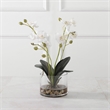 Uttermost Glory Contemporary Polyester Plastic and Iron Orchid in White