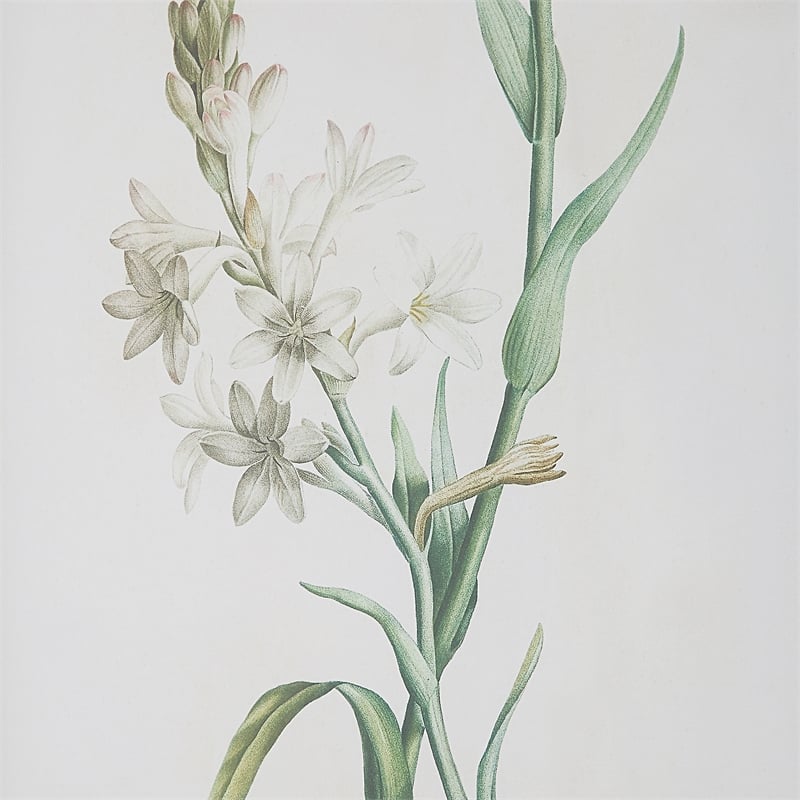 Uttermost Heirloom Blooms Wood & Fabric Framed Prints in Gray/Ivory (Set of 4)