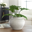 Uttermost Floreana Coastal Ceramic Round Decorative Vase in White