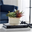 Uttermost Mesa Succulent Contemporary Ceramic Flower Pot in Tan/Green
