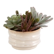 Uttermost Mesa Succulent Contemporary Ceramic Flower Pot in Tan/Green