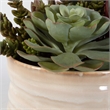Uttermost Mesa Succulent Contemporary Ceramic Flower Pot in Tan/Green