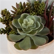 Uttermost Mesa Succulent Contemporary Ceramic Flower Pot in Tan/Green