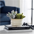 Uttermost Mesa Succulent Contemporary Ceramic Flower Pot in Tan/Green