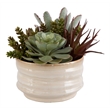 Uttermost Mesa Succulent Contemporary Ceramic Flower Pot in Tan/Green