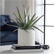 Uttermost Taos Coastal Ceramic Aloe Centerpiece in Ivory/Green