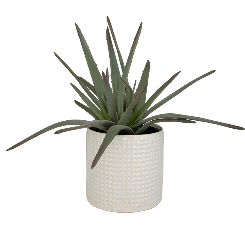 Uttermost Taos Coastal Ceramic Aloe Centerpiece in Ivory/Green