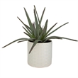 Uttermost Taos Coastal Ceramic Aloe Centerpiece in Ivory/Green