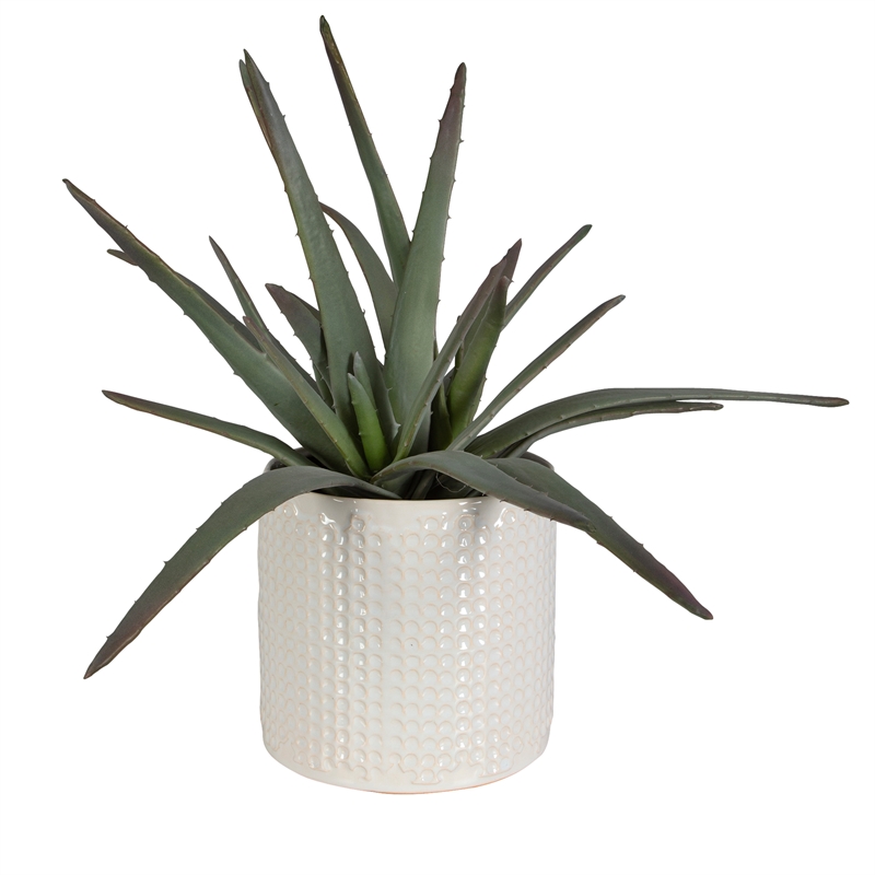 Uttermost Taos Coastal Ceramic Aloe Centerpiece in Ivory/Green