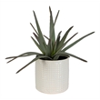 Uttermost Taos Coastal Ceramic Aloe Centerpiece in Ivory/Green