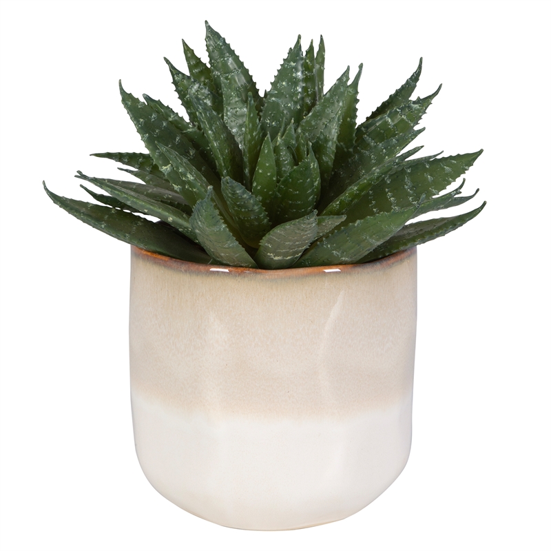 Uttermost Doha Coastal Ombre Glazed Ceramic/Plastic Flower Pot in Beige/Green