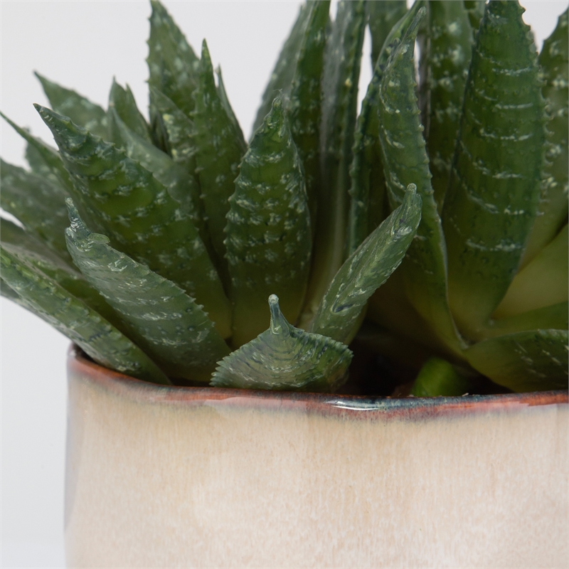 Uttermost Doha Coastal Ombre Glazed Ceramic/Plastic Flower Pot in Beige/Green