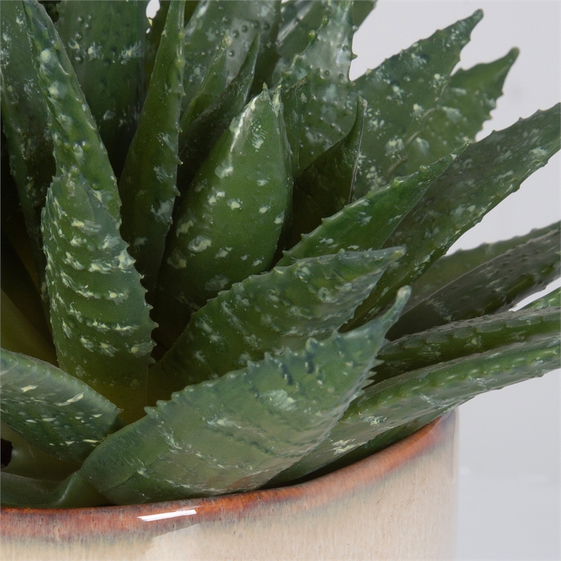 Uttermost Doha Coastal Ombre Glazed Ceramic/Plastic Flower Pot in Beige/Green