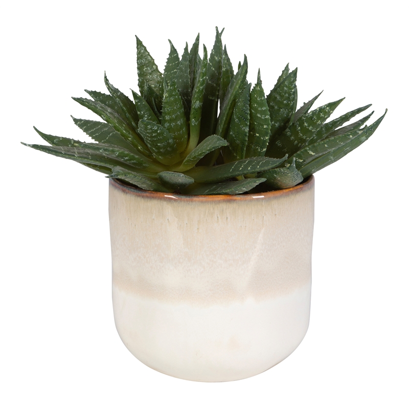 Uttermost Doha Coastal Ombre Glazed Ceramic/Plastic Flower Pot in Beige/Green