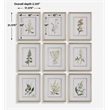 Uttermost Botanical Framed Prints in Champagne Frame/White Linen Mat (Set of 9)