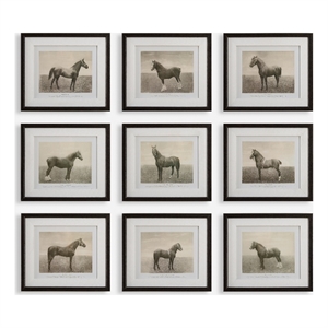 Uttermost Equine Dynasty Framed Prints in Multi-Color (Set of 9)