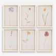 Uttermost Wild Flourish Framed Floral Prints in Multi-Color (Set of 6)