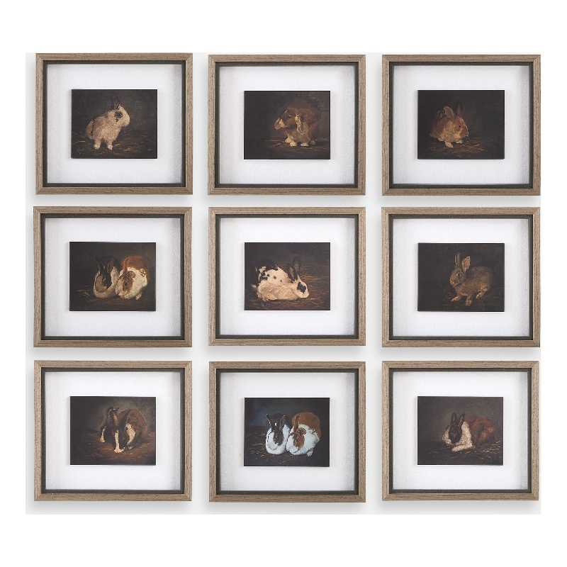 Uttermost Resting Bunny Framed Prints in Multi-Color (Set of 9)