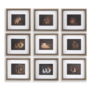 Uttermost Resting Bunny Framed Prints in Multi-Color (Set of 9)