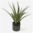 Uttermost Tucson Aloe Planter in Multi-Color