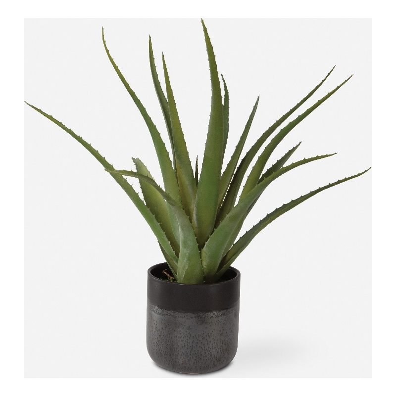 Uttermost Tucson Aloe Planter in Multi-Color
