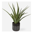 Uttermost Tucson Aloe Planter in Multi-Color