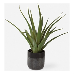 Faux Florals / Plants