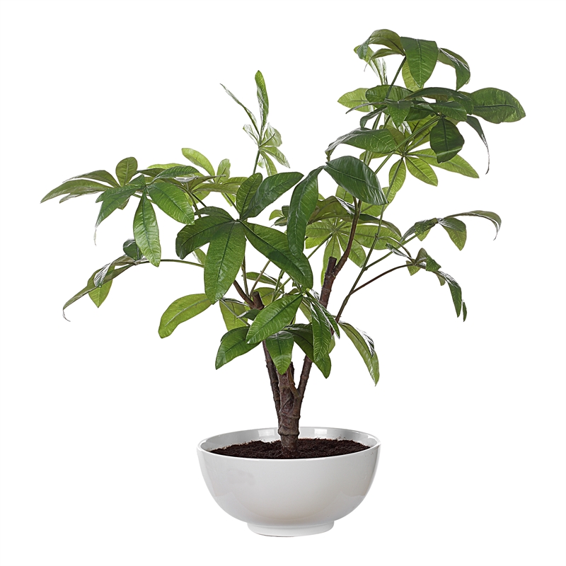 Uttermost Pachira Money Tree in Multi-Color