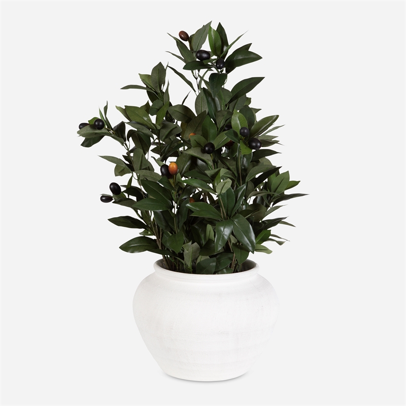 Uttermost Elena Olive Centerpiece