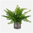Uttermost Maidenhair Fern In Oxidized Container in Multi-Color