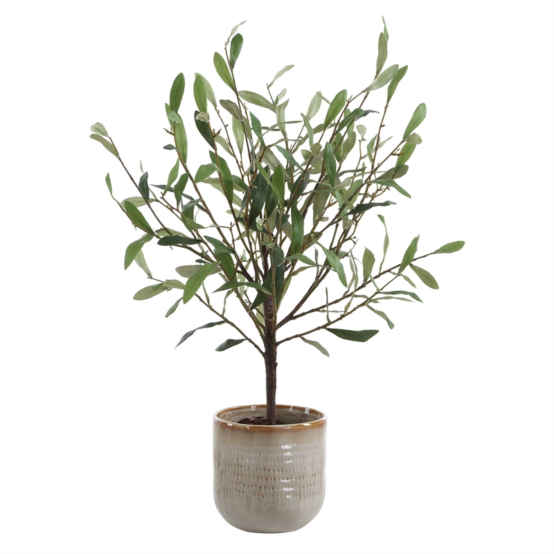 Uttermost Solea Olive Accent & Textured Vase in Hued Green And Silvery Leaves