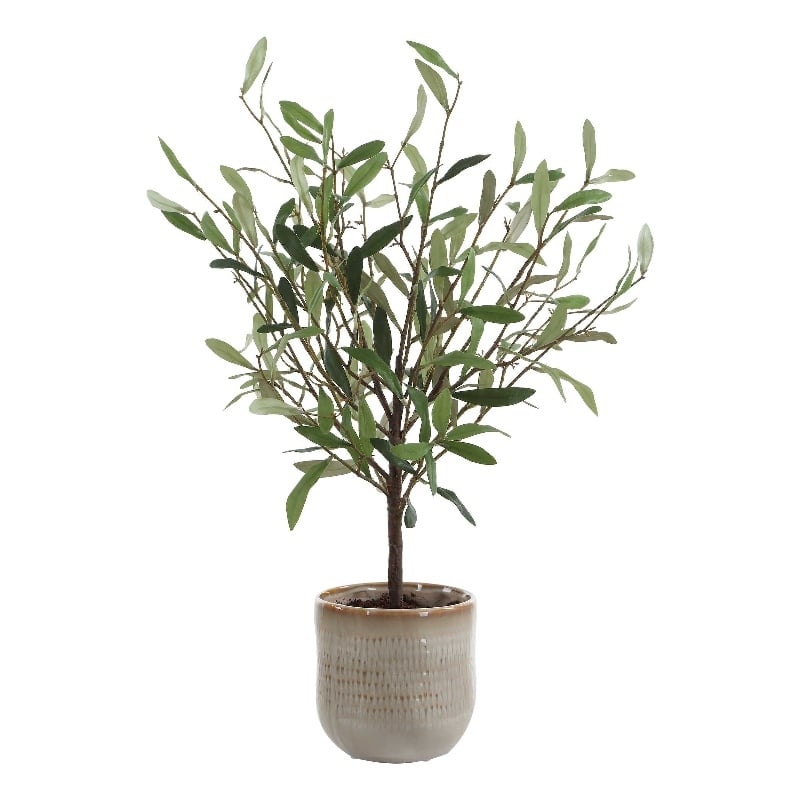 Uttermost Solea Olive Accent & Textured Vase in Hued Green And Silvery Leaves