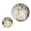 Uttermost Nouveau Indoor-Outdoor Spheres in Black (Set of 2)
