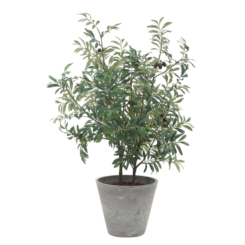 Uttermost Marisol Potted Olive Plant in Gray
