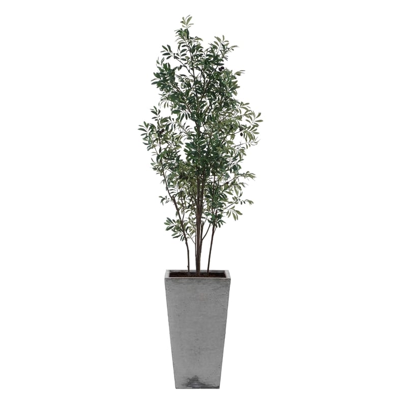 Uttermost Sonora Olive Tree In Planter in Gray