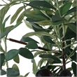 Uttermost Sonora Olive Tree In Planter in Gray