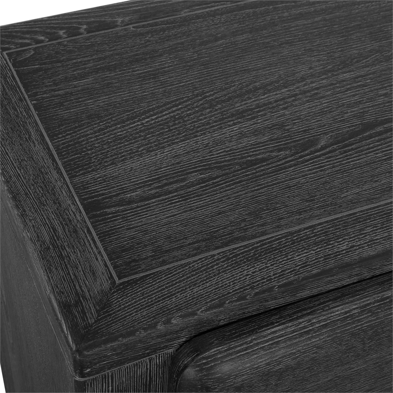 Uttermost Bierk Dark Stain 2 Door Cabinet in Black