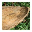 Uttermost Teak Coastal Style Teak Wood Leaf Bowl in Brown Finish