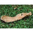 Uttermost Teak Coastal Style Teak Wood Leaf Bowl in Brown Finish